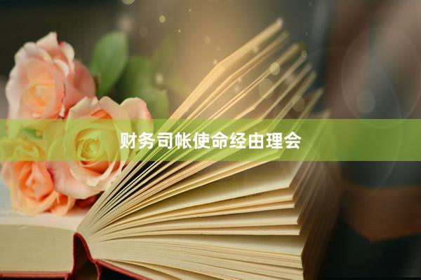 财务司帐使命经由理会
